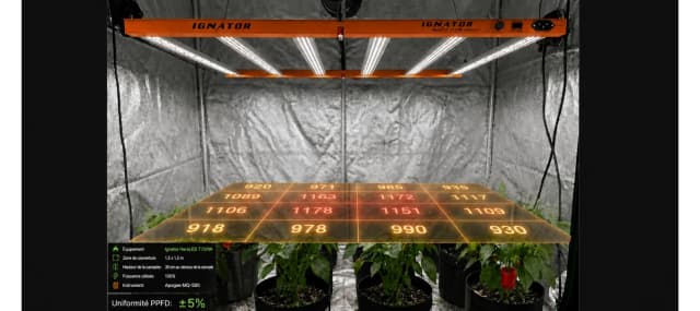 Carte PPFD sous une rampe LED Ignator HeroLED T720W montrant la répartition de la lumière dans une culture indoor